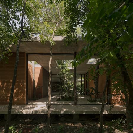 A Forest in the House